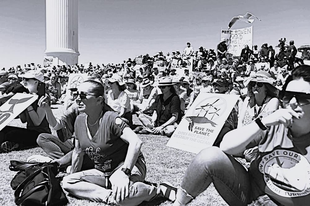 Flagstaff Hill rally, Illawarra
