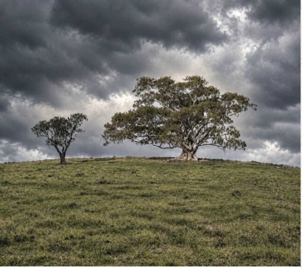 Two Tree Hill at Tea Gardens under a storm sky